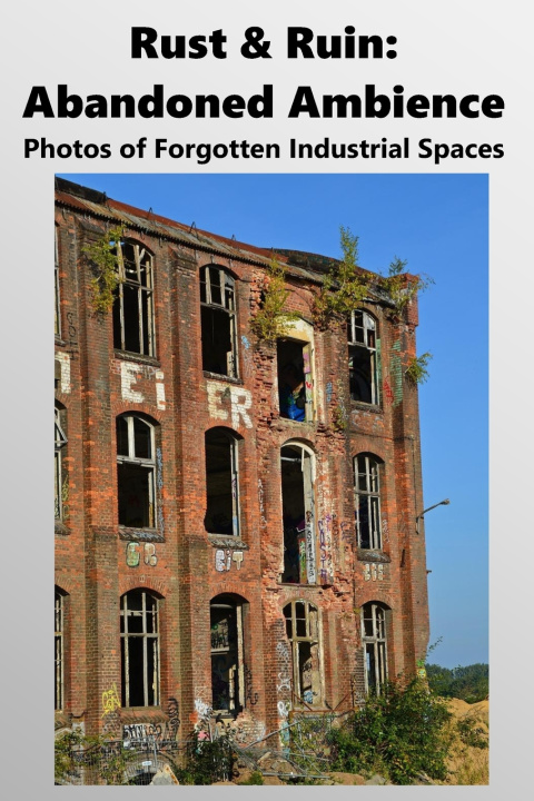 Könyv Rust & Ruin Davies
