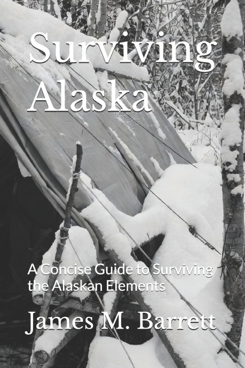 Kniha Surviving Alaska James M. Barrett