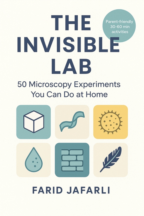 Kniha The Invisible Lab Farid Jafarli