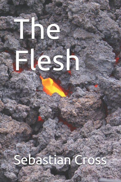 Книга The Flesh Sebastian Cross