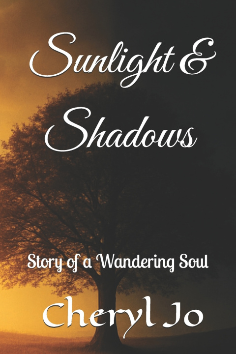 Kniha Sunlight & Shadows Joelin Sherril J.