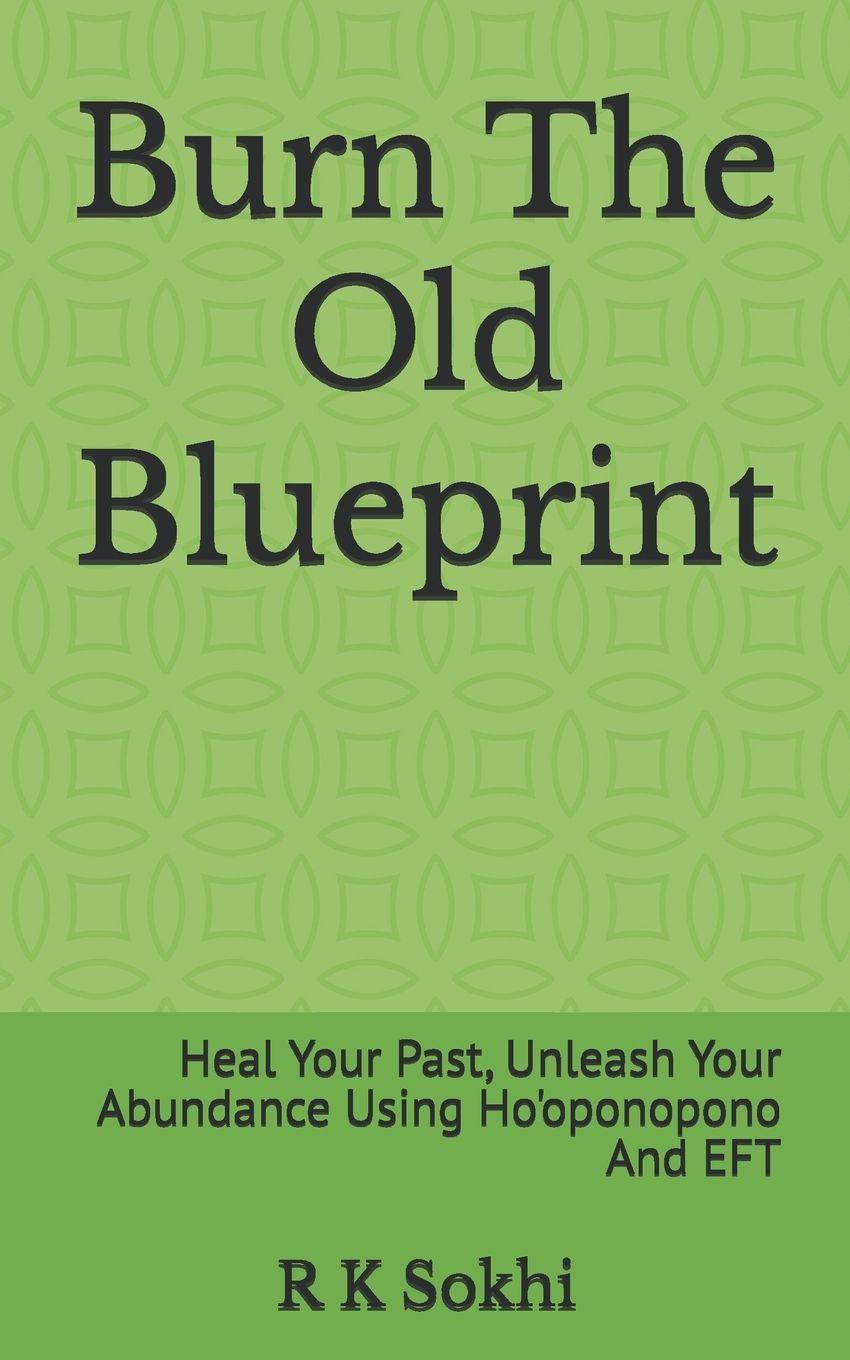 Knjiga Burn The Old Blueprint R K Sokhi