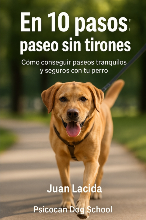 Kniha En 10 pasos Juan Lacida