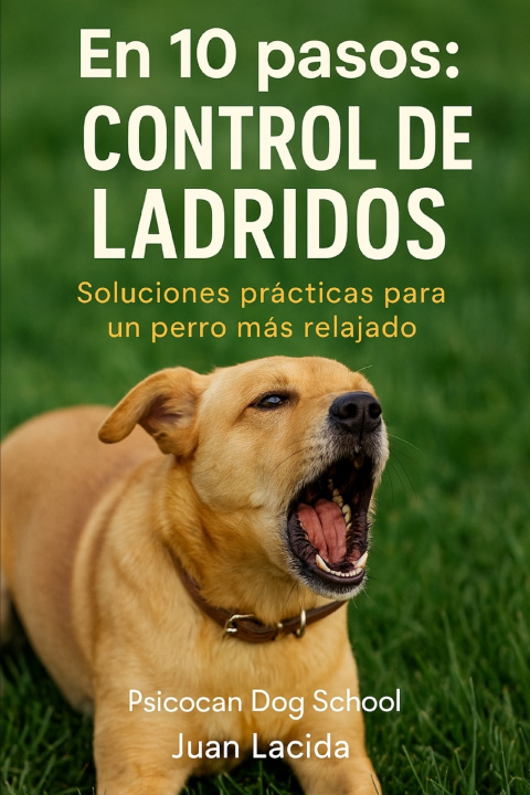 Kniha En 10 pasos Juan Lacida
