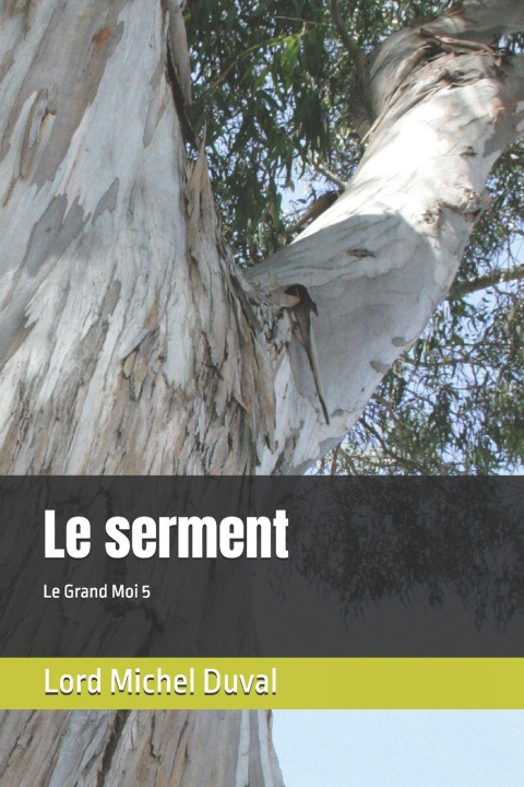 Könyv Le serment Lord Michel Duval