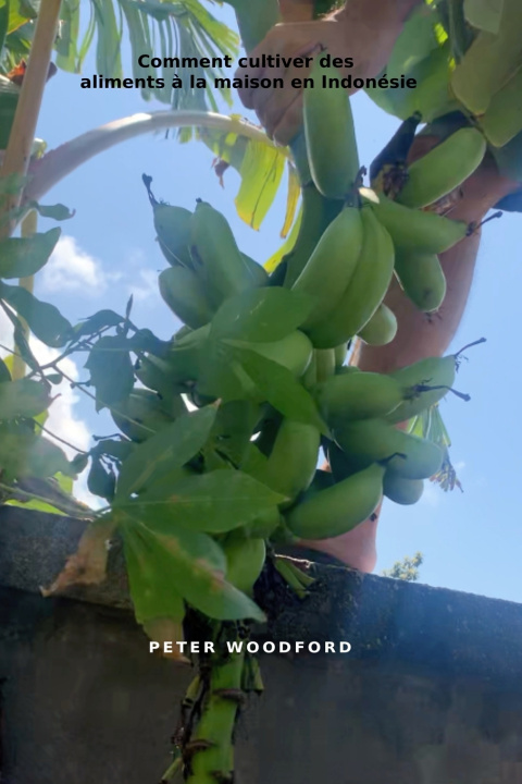 Libro Comment cultiver des aliments à la maison en Indonésie Peter Woodford