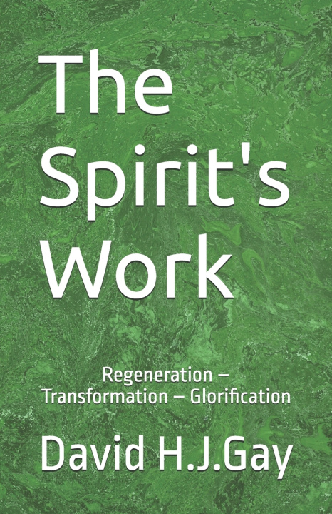 Könyv The Spirit's Work David H.J Gay