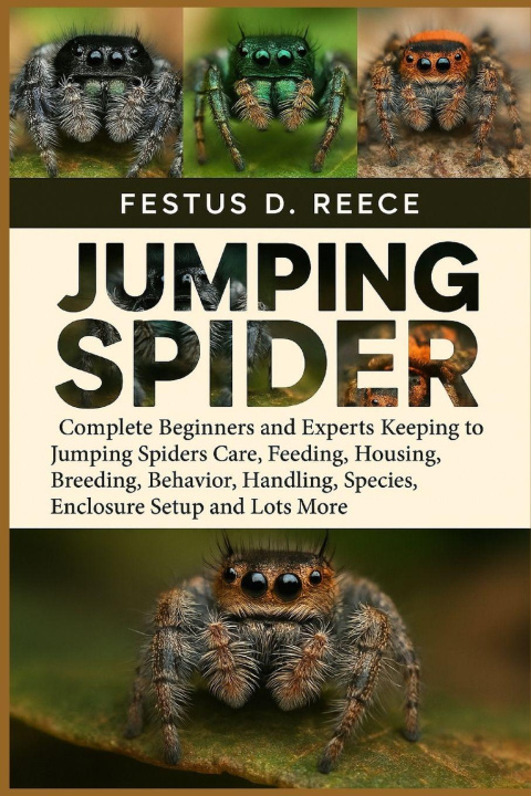 Kniha JUMPING SPIDER FESTUS D. REECE