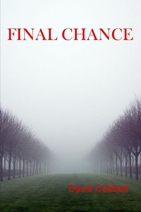 Kniha Final Chance David Cobbett