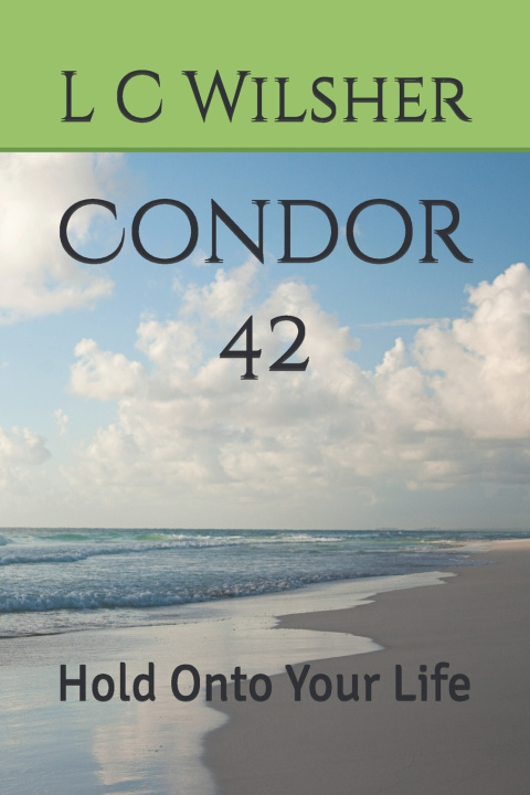 Kniha Condor 42 L C Wilsher