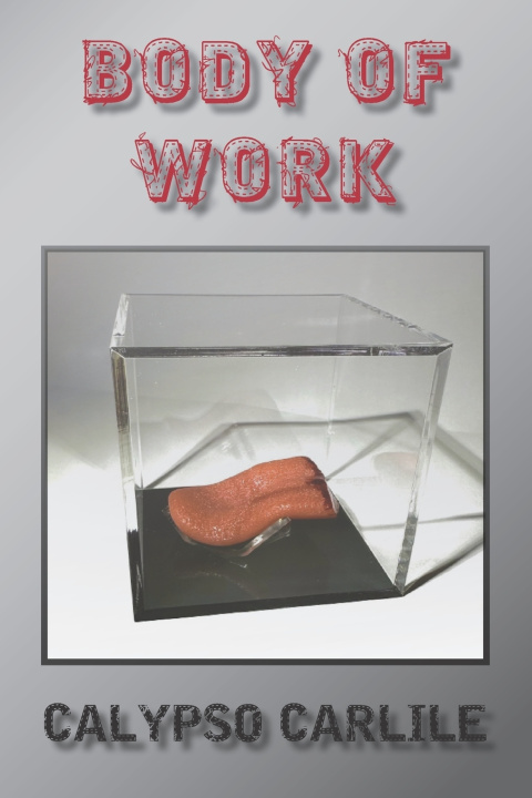 Libro Body of Work Calypso Carlile
