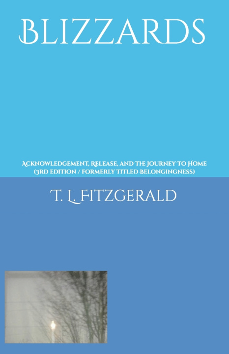 Knjiga Blizzards T. L. Fitzgerald