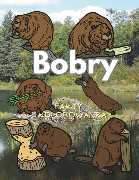 Kniha Bobry Steven Book