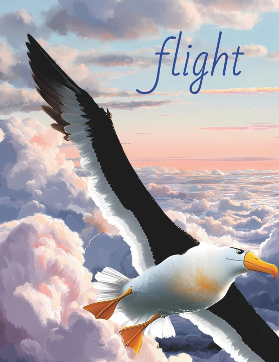 Könyv flight 태희 송