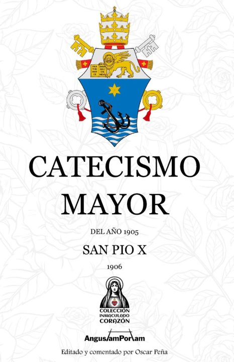 Buch Catecismo Mayor Pío X