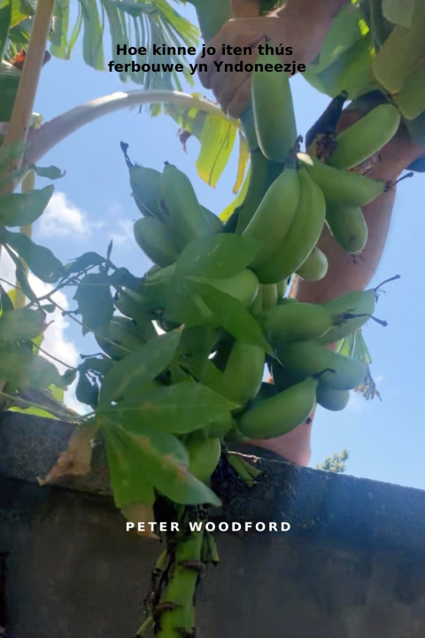 Libro Hoe kinne jo iten thús ferbouwe yn Yndoneezje Peter Woodford