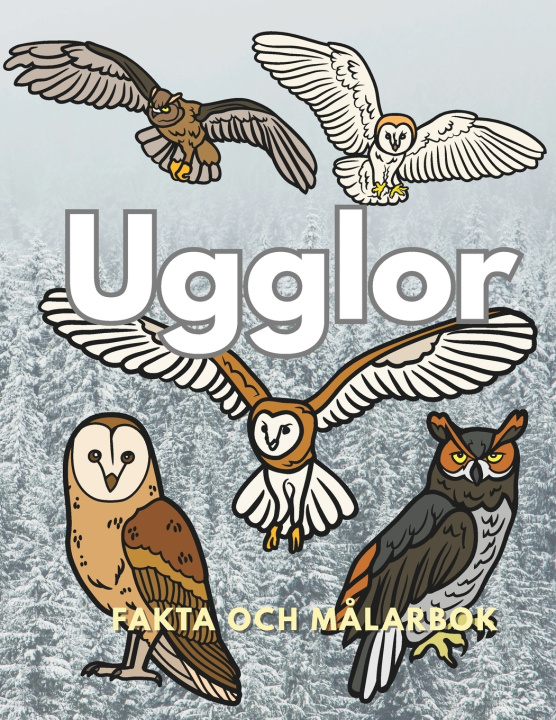 Könyv Ugglor Steven Book