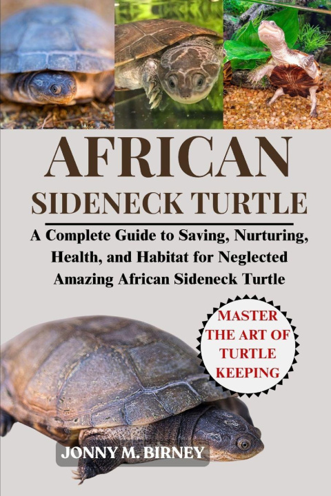Kniha AFRICAN SIDENECK TURTLE JONNY M. BIRNEY