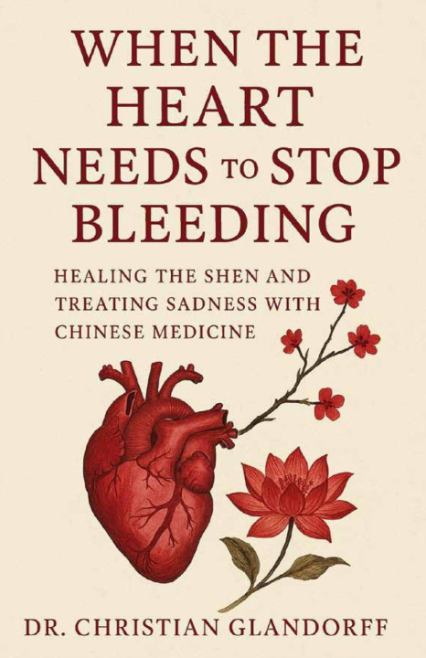 Kniha When the Heart Needs to Stop Bleeding Dr. Christian Glandorff
