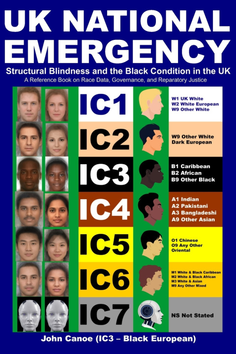 Kniha UK NATIONAL EMERGENCY DERRICK LYNCH