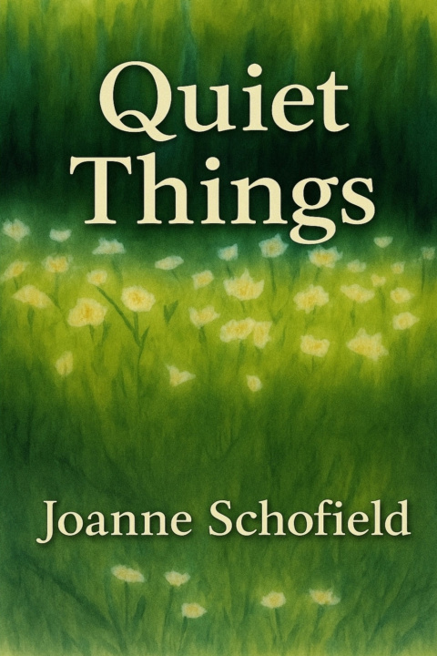 Knjiga Quiet Things Joanne Schofield