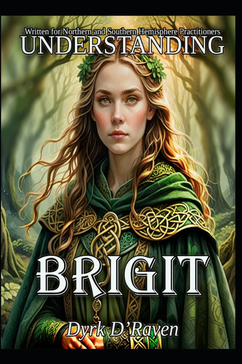 Kniha Understanding Brigit Dyrk D'Raven