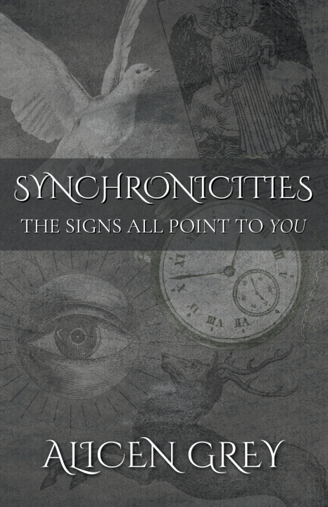 Kniha SYNCHRONICITIES Alicen Grey