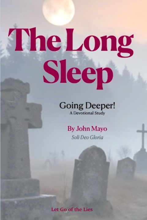 Boek The Long Sleep John Mayo