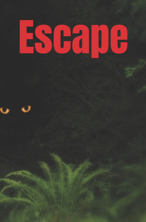 Kniha Escape Cat Cameron-Dilley