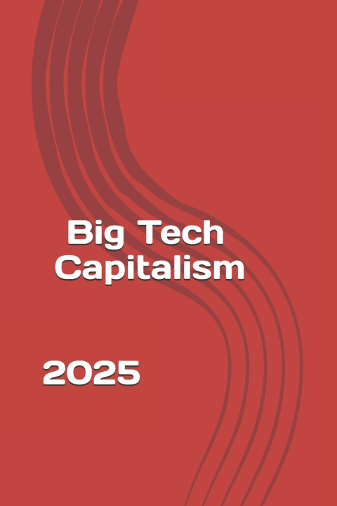 Buch Big Tech Capitalism carlos sidnei coutinho