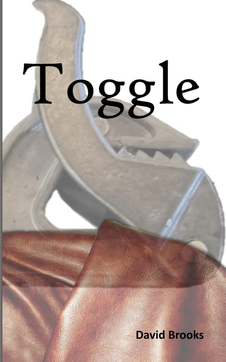 Könyv Toggle David Brooks