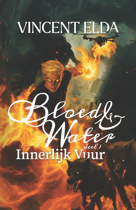 Kniha Innerlijk Vuur Vincent Elda