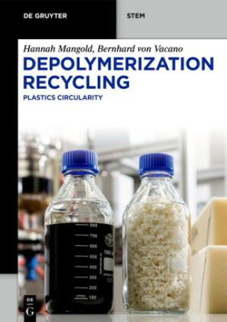 Könyv Depolymerization Recycling Hannah Mangold