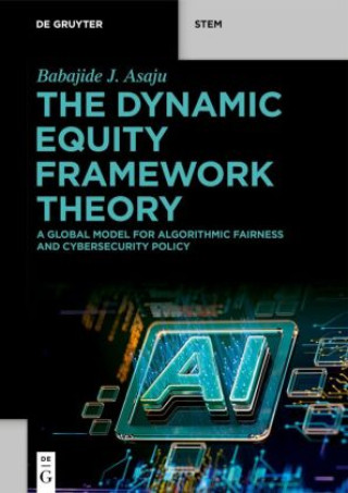 Kniha The Dynamic Equity Framework Theory Babajide J. Asaju