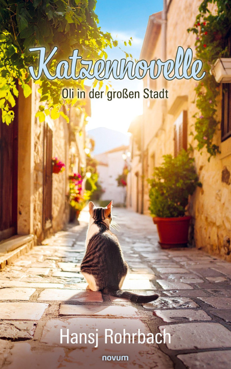 Könyv Katzennovelle Hansj Rohrbach