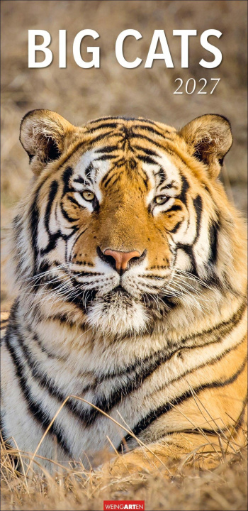 Calendario/Diario Big Cats Kalender 2027 