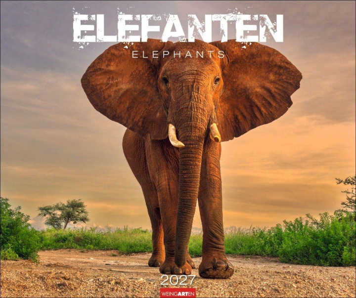 Kalendár/Diár Elefanten Kalender 2027 