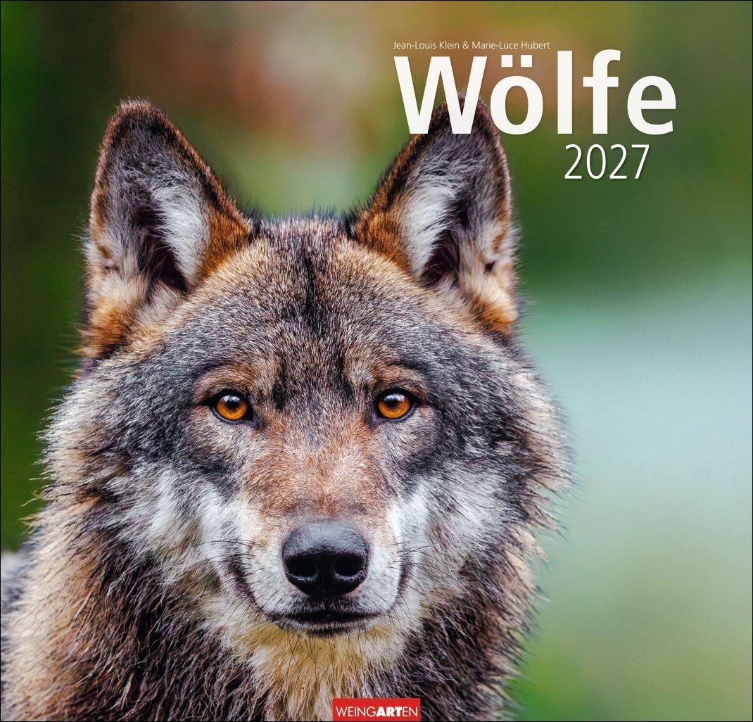 Calendario/Diario Wölfe Kalender 2027 Marie-Luce Hubert