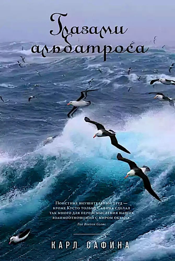 Kniha Глазами альбатроса К. Сафина
