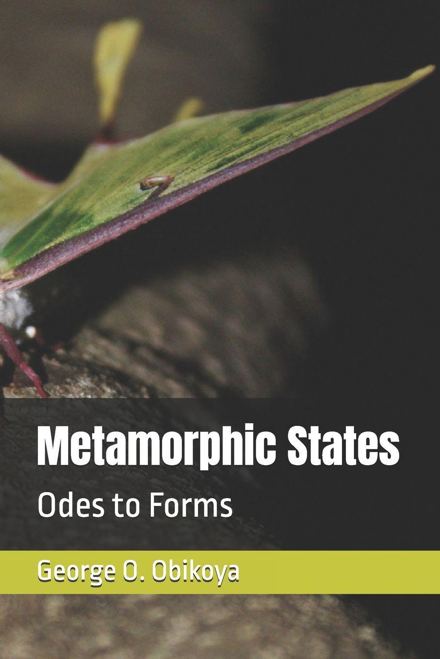 Knjiga Metamorphic States George O. Obikoya
