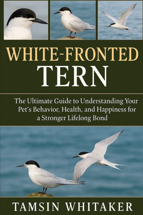 Kniha WHITE-FRONTED TERN TAMSIN WHITAKER