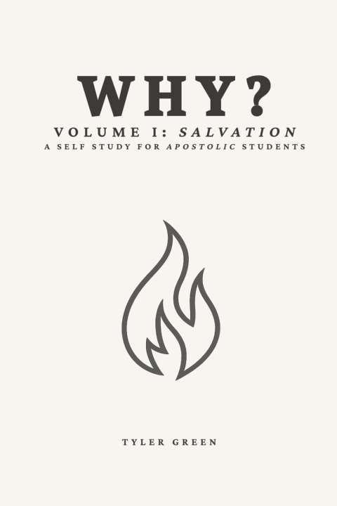 Kniha Why? Volume 1 Tyler Green IL