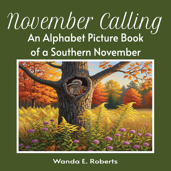 Kniha November Calling Wanda E. Robert