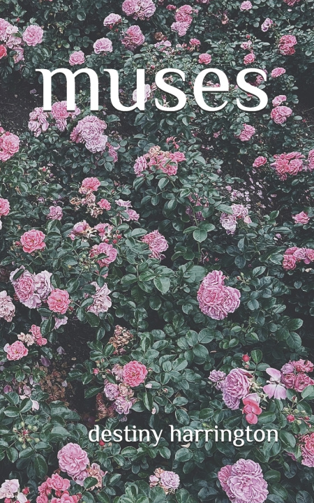 Kniha muses destiny harrington