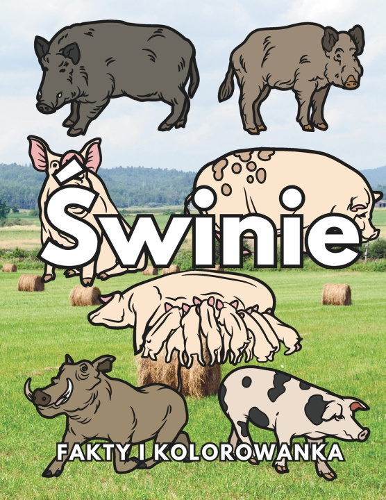 Buch Świnie Steven Book