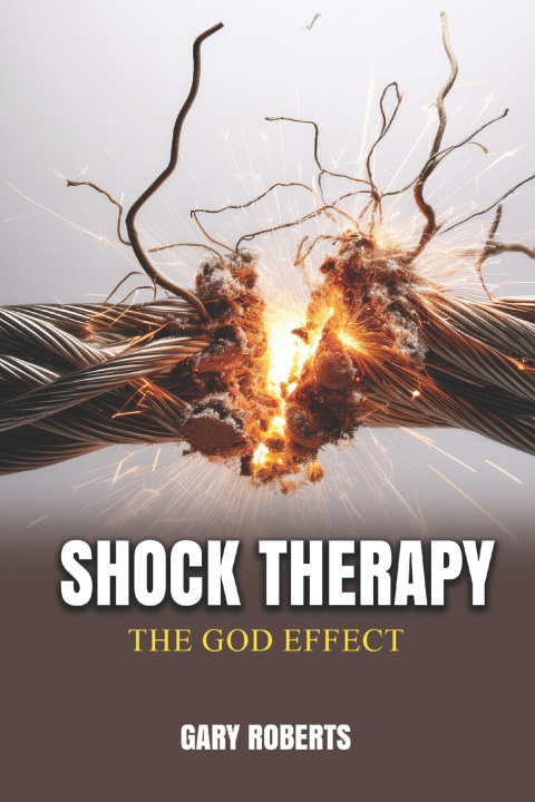 Knjiga Shock Therapy Gary Roberts