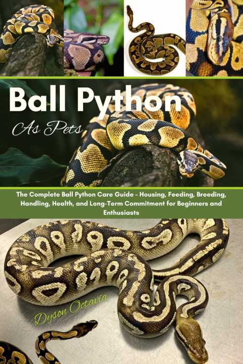 Könyv BALL PYTHON AS PETS DYSON OCTAVIA