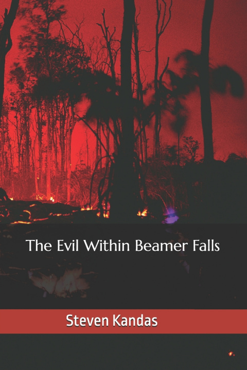 Könyv The Evil Within Beamer Falls Steven Kandas