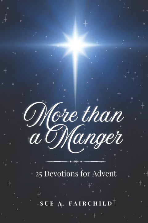 Kniha More than a Manger Sue A Fairchild