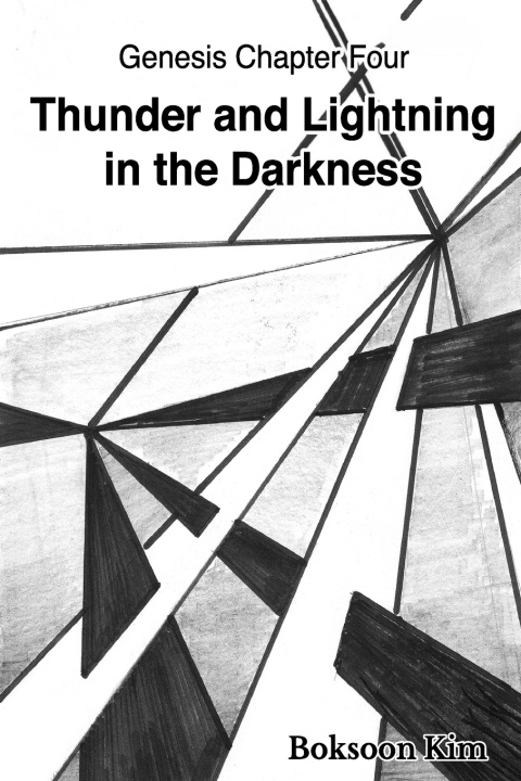 Книга Thunder and Lightning in the Darkness Boksoon Kim